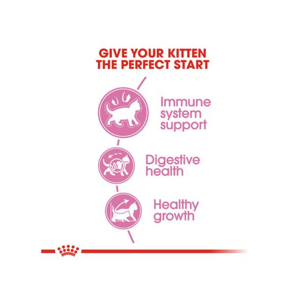 Royal Canin Kitten 36 (2KG) - Image 4