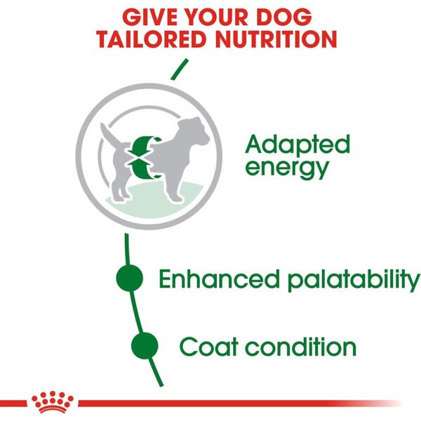 Royal Canin MINI ADULT (2KG) - Image 5