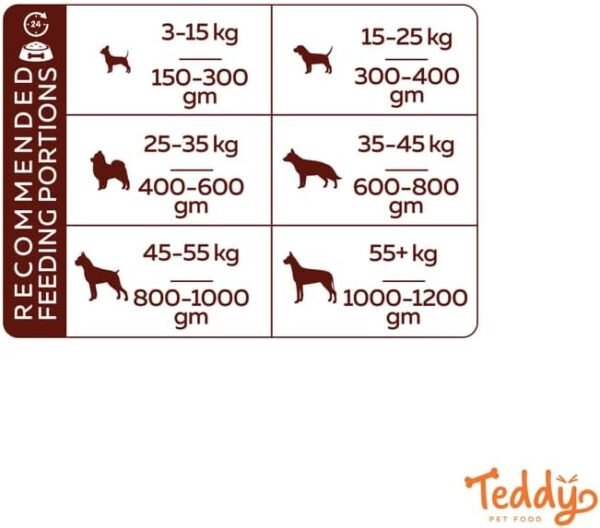 Teddy Pet Food - Dog - Active- Beef 400Gm (10 Cans) - Image 6