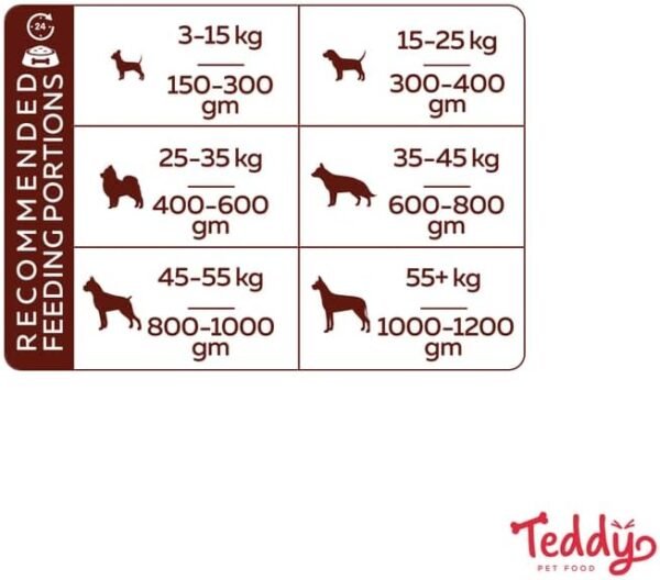 Teddy Pet Food - Dog - Original- Beef 400Gm (10 Cans) - Image 5