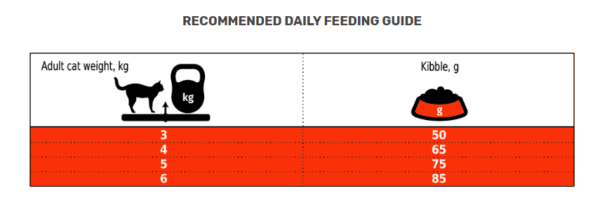 Club 4 Paws With Veal 2KG - Image 3